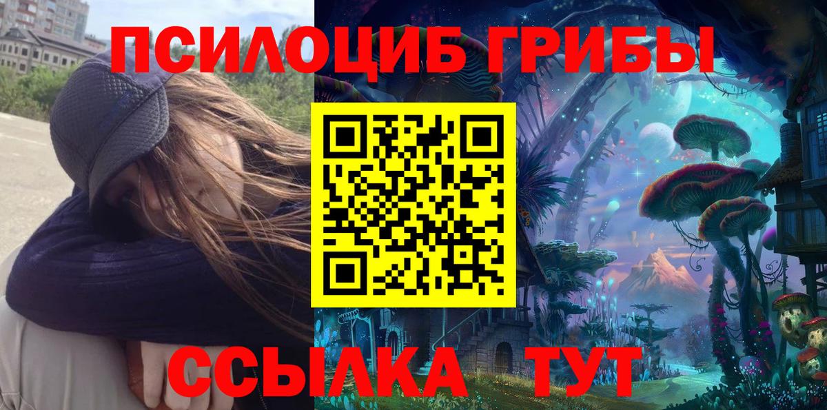 Псилоцибиновые грибы мицелий  Галлюциногенные грибы мицелий  Ипатово  Вход с VPN 